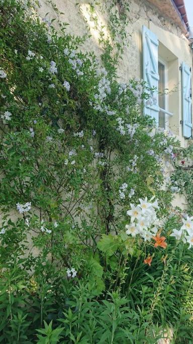 Entire Apartment With Swimming Pool Near Aubeterre Saint-Romain  Exterior photo